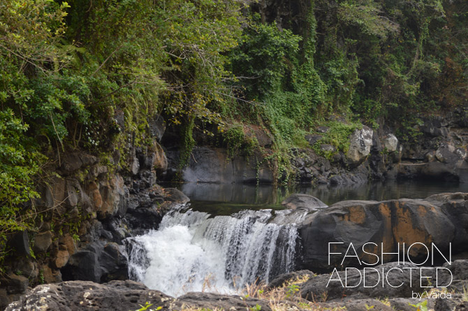 Mauritius Waterfall