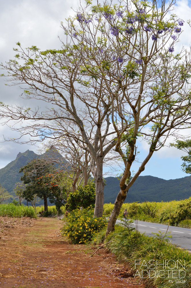 Mauritius