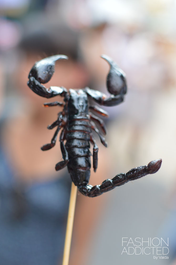 thailand-scorpion